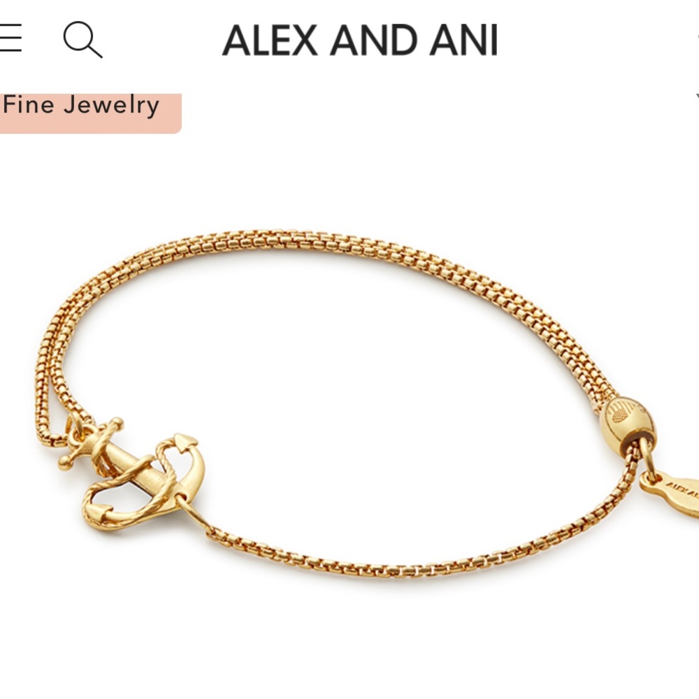 Alex and Ani pull chain anchor bracelet
